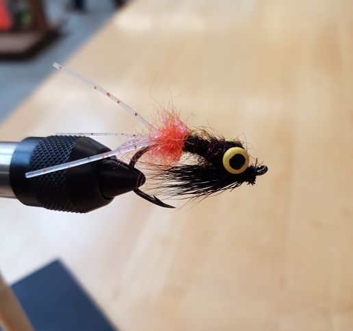 Carp Fly