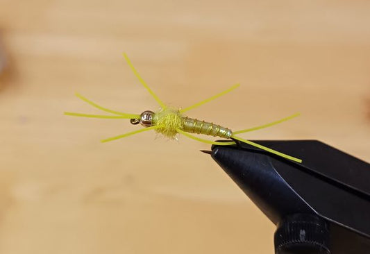 Fancy Stone Fly