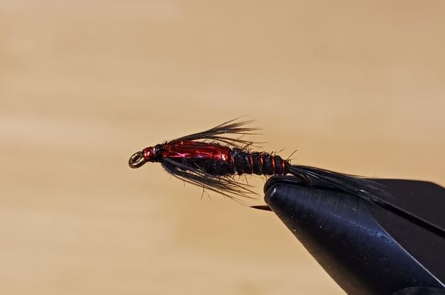 Flashback Stone Fly