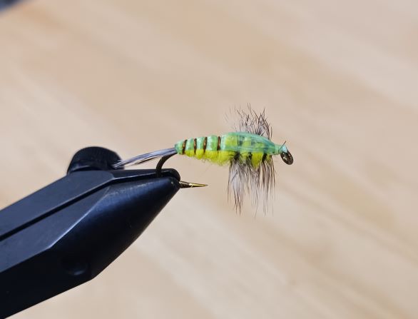 Green Raffiaback Stone Fly