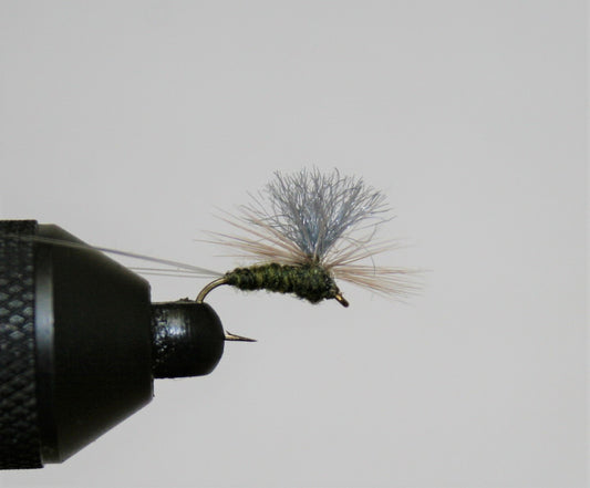 BWO Blue-winged Olive