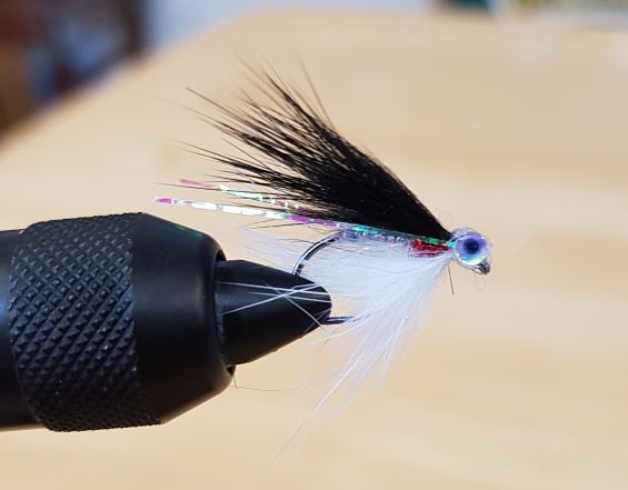 Mini Minnow