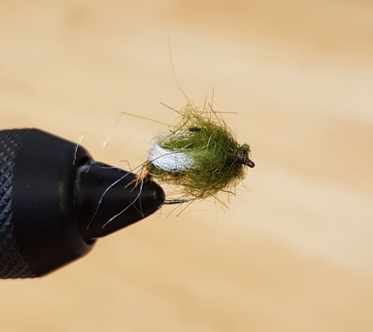 Olive Iris Caddis