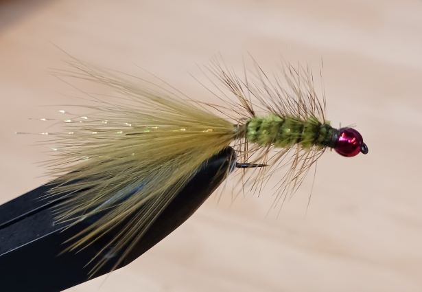 Wooly Bugger Medium Fly