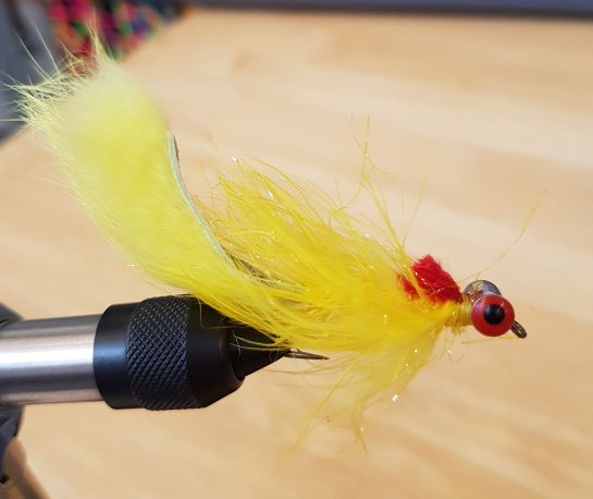 Polar Streamer Fly